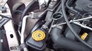 Removing thermostat hose clamp dodge neon