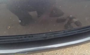how-to-install-a-front-license-plate-toyota-camry-2010