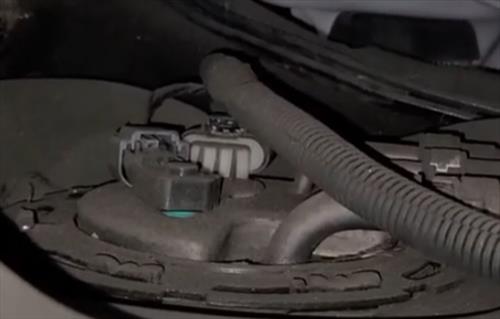 Fuel Tank Pressure Sensor Wiring Harness